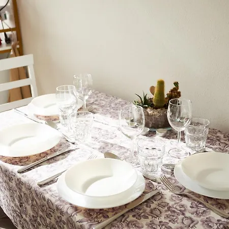 Sun Garden Mini Oasis