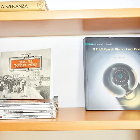 Sun Garden Mini Oasis