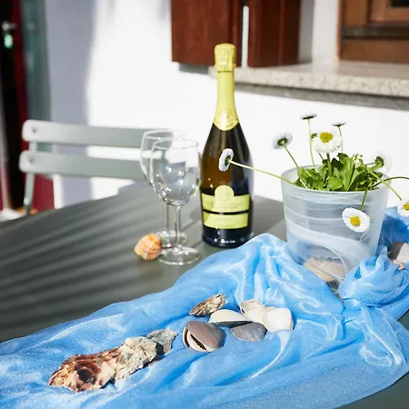 Sun Garden Mini Oasis