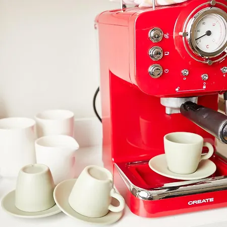 Sun Garden Mini Oasis