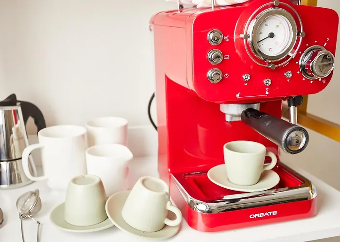 Sun Garden Mini Oasis